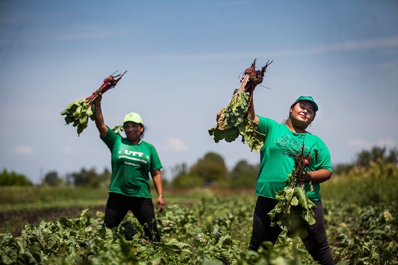 the-union-of-land-workers-is-creating-a-new-food-paradigm-in-argentina